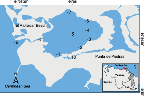 Figura 1