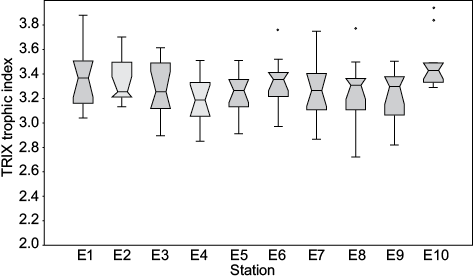 figura 5