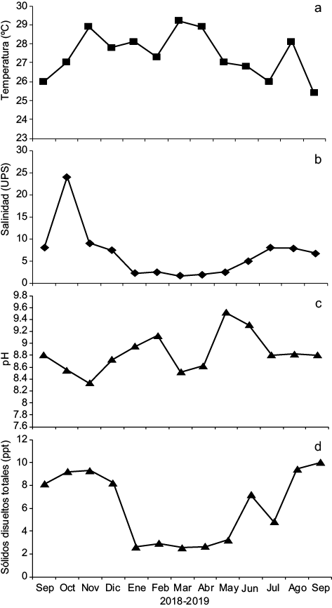 Figura 4 