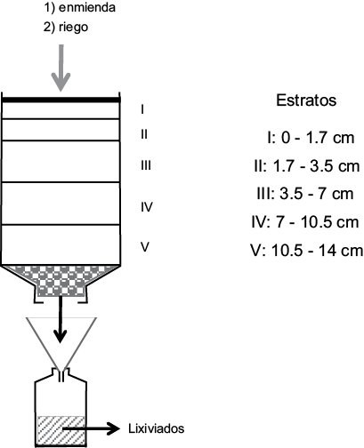 Figura 1