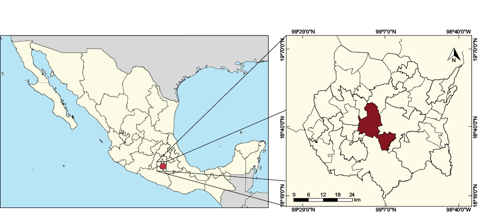 figura 1
